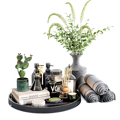 Modern Stylish Bathroom Accessories With Rolled Towels Green Plants And Fragrance Sticks On Tray 3d model
