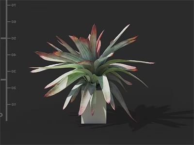 Colorful Tropical Plant With Long Red And Green Leaves In White Square Pot 3d model