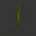 Green Praying Mantis with Extended Forelegs and Long Legs on Dark Background