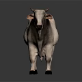 White And Dark Brown Cow Standing On Shiny Surface With Gray Background 3d model
