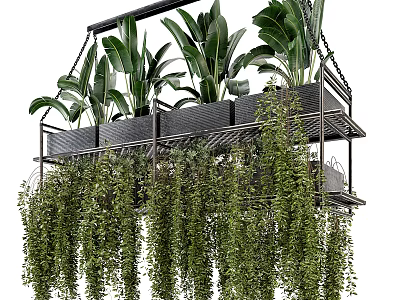Lush Hanging Basket Plants With Multi Tiered Metal Frame And Cascading Foliage 3d model