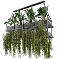 Lush Hanging Basket Plants With Multi Tiered Metal Frame And Cascading Foliage