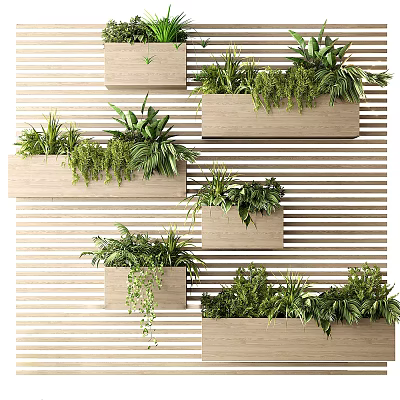 Feature Wall with Hanging Wooden Planters and Lush Green Plants Design 3d model