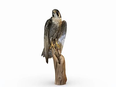 Majestic Falcon Perched On Wooden Stump With Spread Wings And Sharp Beak 3d model