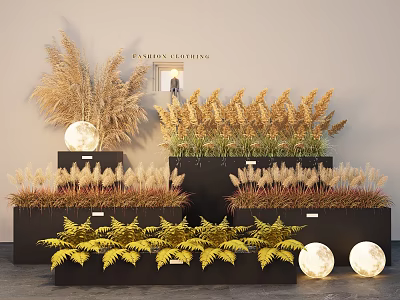 Golden Grasses and Yellow Ferns Decorative Display with Black Planters Round Lights and Grey Wall 3d model