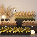 Golden Grasses and Yellow Ferns Decorative Display with Black Planters Round Lights and Grey Wall