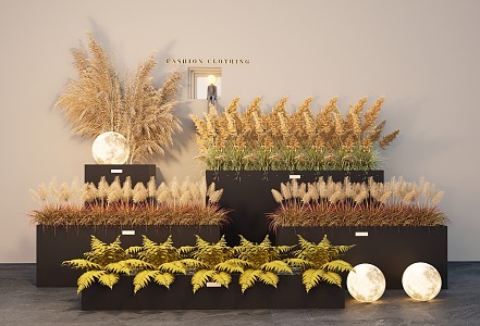 Reed plant combination plant flower box wheat spike Pennisetum hay 3d model