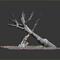 Dry Tree Branches With Fallen Leaves On Ground And Small Green Plants 3d model