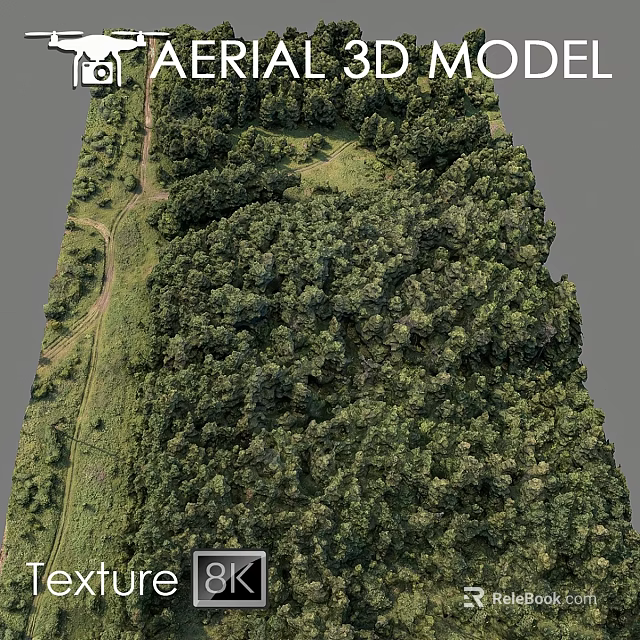 Natural Garden Landscape With Dense Trees Grassy Meadow And Winding Path 3d model 
