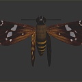 Modern butterfly moth insect 3d model