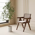 Modern Single Chair Wooden Frame Rattan Backrest Near Window With Green Plant
