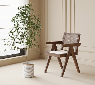 Single Chair Dining Chair Bonsai Green Plant 3d model