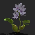 Vibrant Purple Flowering Plant with Lush Green Leaves and Stems