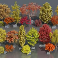 Diverse Arbor Collection with Colorful Seasonal Leaves and Natural Stone Bases