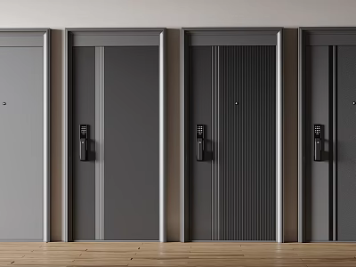 Modern Security Doors With Safety Locks Steel Frames And Home Security Design 3d model