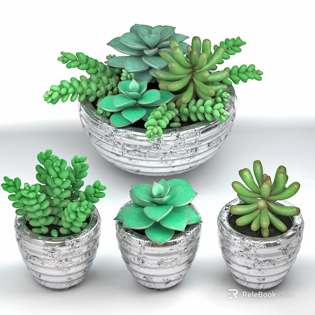 Multiple Silver Textured Vases With Different Succulent Plant Varieties And Green Foliage 3d model 