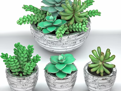 Multiple Silver Textured Vases With Different Succulent Plant Varieties And Green Foliage 3d model