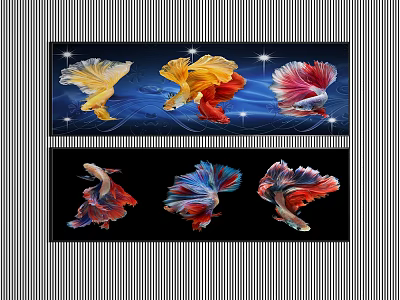 Colorful Betta Fish Decorative Wall Art With Vibrant Underwater Scene 3d model