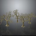 Four Leafless Trees With Thick Trunks And Slender Branches On Gray Gradient Background With Reflections