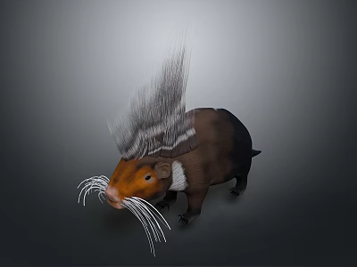 Unique Animal With Orange Head Long Whiskers And Fluffy Back Hair 3d model