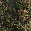 Lush Green Vines with Pink Flowers Decorative Wall Hanging Ornamental Plant