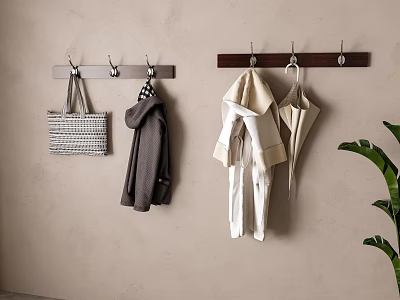 Coat Hooks Hanging Woven Bag Dark and Light Coats on Beige Wall with Green Plant 3d model