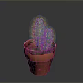 Green Cactus Plant In Orange Textured Pot Against Dark Background