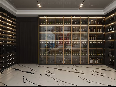 Modern Wine Cellar Interior With Glass Cabinets And Wine Racks 3d model