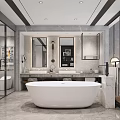 Hotel Room Bathroom With Modern Design White Freestanding Tub And Marble Counter
