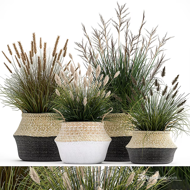 Decorative Potted Crops In Woven Baskets With White And Black Colors 3d model 
