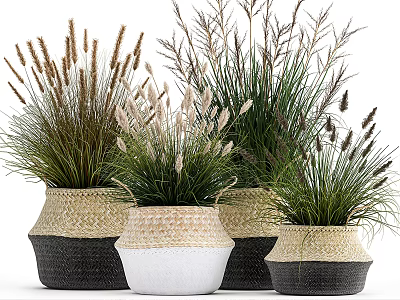 Decorative Potted Crops In Woven Baskets With White And Black Colors 3d model
