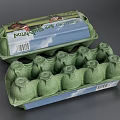 Green Paper Egg Carton With Collected Label And Chicken Illustrations For Egg Collection