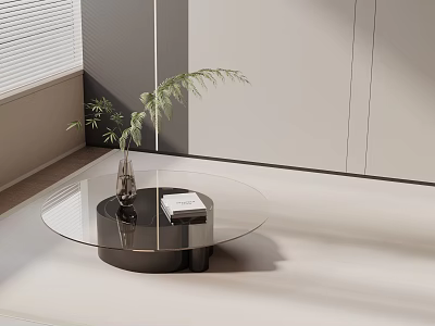 Modern Glass Top Black Base Sofa Coffee Table Set with Green Plant and Book 3d model