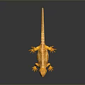 Lizard Anime Lizard Cartoon Lizard Reptile Cold Blooded Animal Reptile 3d model