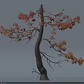 Graceful Tree With Curved Trunk And Orange Leaves Against Light Background 3d model