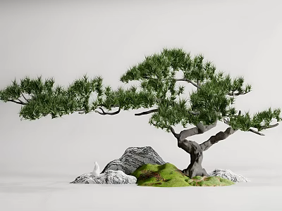 Commercial Landscape Design Featuring Bonsai Pine Tree With Rocks And Green Grass 3d model