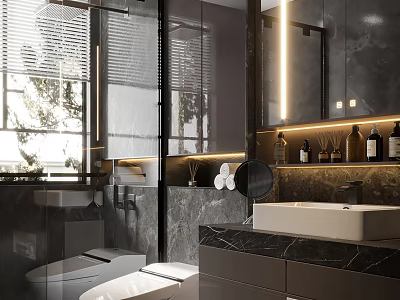 Modern Bathroom Interior Design With Marble Countertop Sink Lighting Mirror And Toilet 3d model