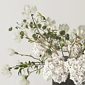 Elegant Vase Arrangement With White Hydrangea Magnolia Flowers And Fresh Green Leaves