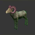 Majestic Ram With Large Curved Horns Standing On Gray Background And Shiny Floor