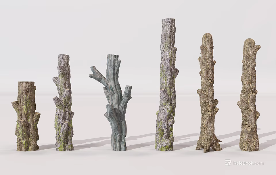 Tree Trunks With Various Shapes Different Heights And Textured Bark For Decorative Use 3d model 