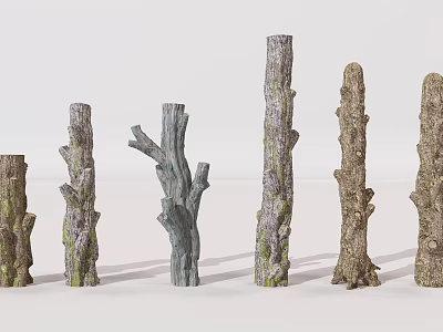 Tree Trunks With Various Shapes Different Heights And Textured Bark For Decorative Use 3d model
