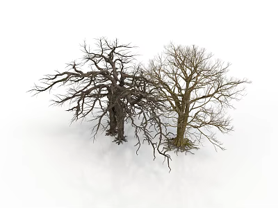 Realistic style dead tree dead tree leafless trees twisted branches rough bark exposed root system dark brown white background winter trees game asset 3d model