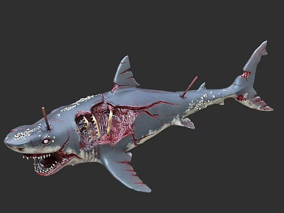Realistic Damaged Shark 3D Model With Exposed Skeleton And Bloodstains 3d model