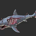 Realistic Damaged Shark 3D Model With Exposed Skeleton And Bloodstains 3d model