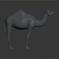 3D Rendered Camel Sculpture With Single Hump And Smooth Gray Surface On Dark Background