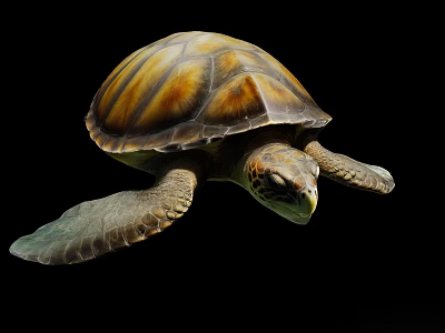 Graceful Sea Turtle With Brown And Yellow Patterned Shell Gliding Against Black Background 3d model