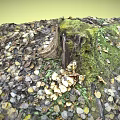 Lush Green Moss Covered Tree Stump With Fresh Mushrooms And Fallen Leaves