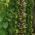 Lush Living Plant Wall With Various Green Foliage Against Gray Concrete Background