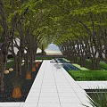 Residential Landscape With Tree Lined Walkway Under Green Canopy Lush Greenery And Seating Area