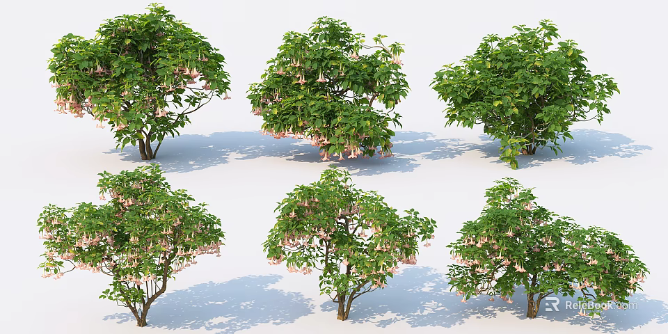 Different Types of Arbor Trees With Green Leaves and Pink Flowers 3d model 